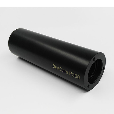 Präzisionsbearbeitung Kunststoffteile Delrin Pom Nylon Ptfe